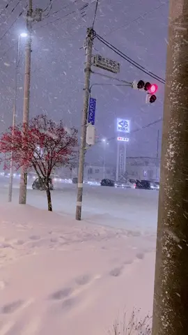 ❄️ #hokkaido#nhâtbản🇯🇵 #muadong #xuhuong 