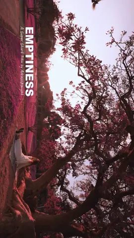 Создано в одиночку в домашних парковых условиях 🖤 размышления о внутренней пустоте и что случается, когда мы с ней сталкиваемся   #кинематограф #режиссер #свет #съемки