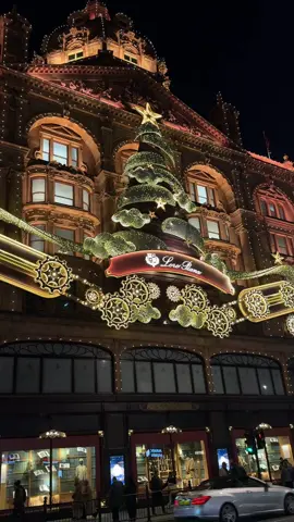 Dec 2024 🎡❄️#london #fyp #viral #londonlife #winterwonderland #londonvibes #لندن 