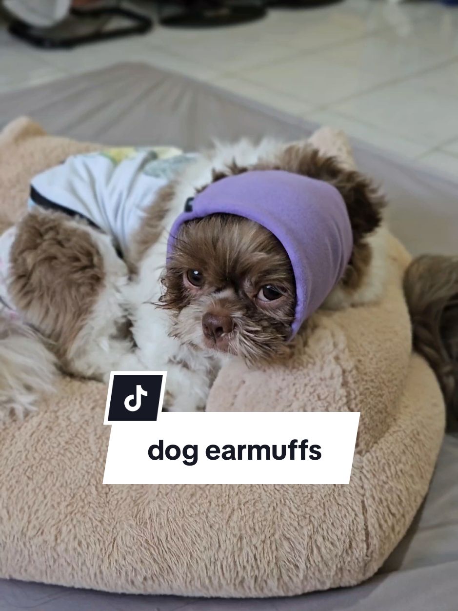 Replying to @mylene.froyalde eto po ung dog earmuffs, ihabol nyo na para umabot #dogearmuffs #petearmuffs #earcoverfordogs  #petwrap #antianxiety #dogwrap #fireworks #newyear #christmas  #dogchristmas #petchristmas #dognewyear #dogfireworks #fordogs #fyp #anxietywrapfordog 