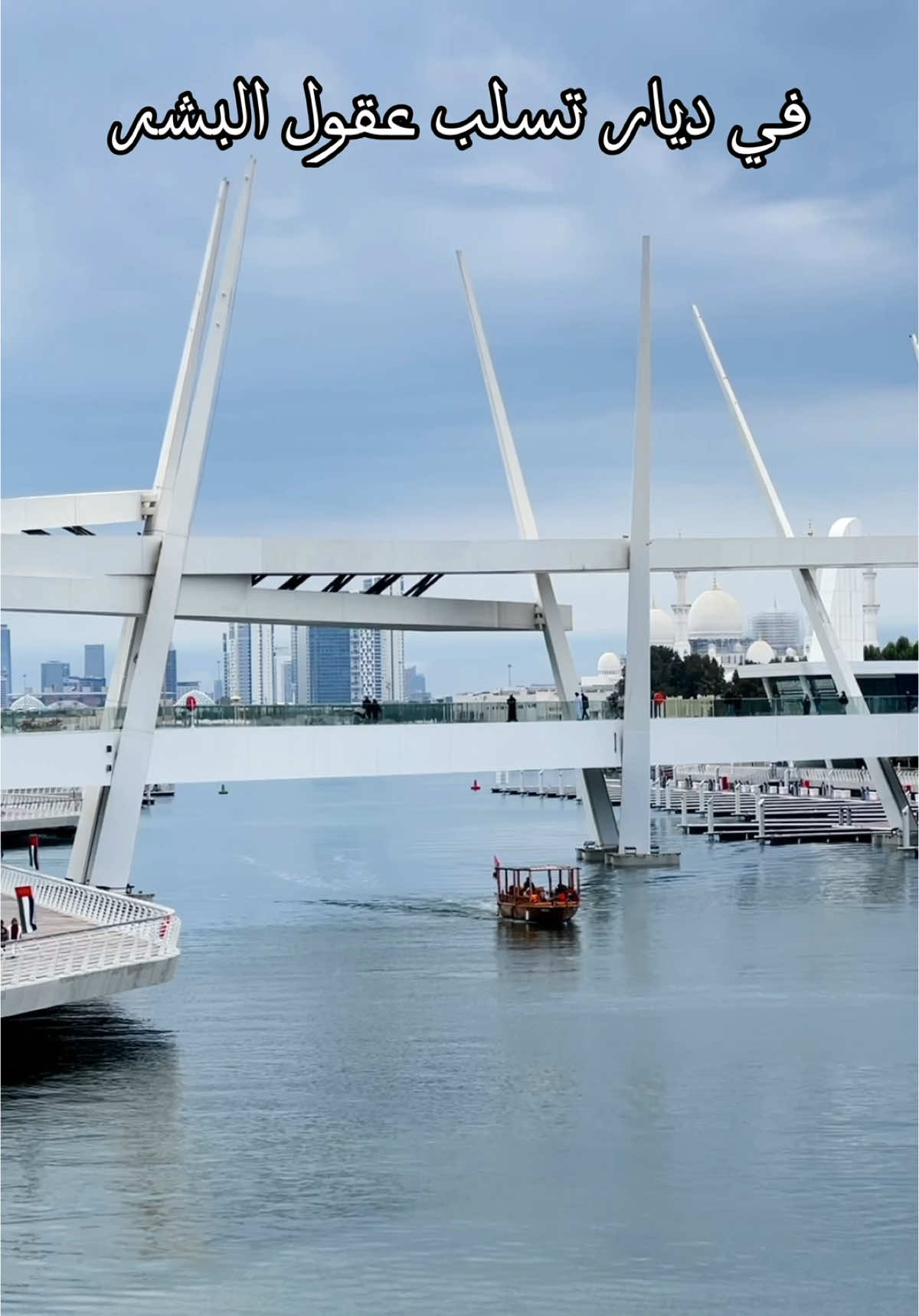 ‏دار زايد دّار كساب اليمِين ‏لي بناهَـا بإتحـادَّه وانتصَر 🇦🇪❤️ #viral #fyp #اكسبلور 