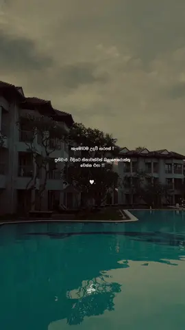 Fact ! 🤍 #yuki_quotes_ #foryoupage #foryou #fyp #1m #whatsappstatus #statusvideo #aesthetic #sinhalaquotes #tranding 