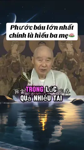 Phước báu lớn nhất là hiếu thuận ba mẹ🪷🪷🪷 #phatphapnhiemmau #phatphap #hoathuongtinhkhong #phat #xuhuong #trending #adidaphat 
