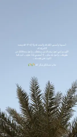 #مساء_الخير #اكسبلورexplore 