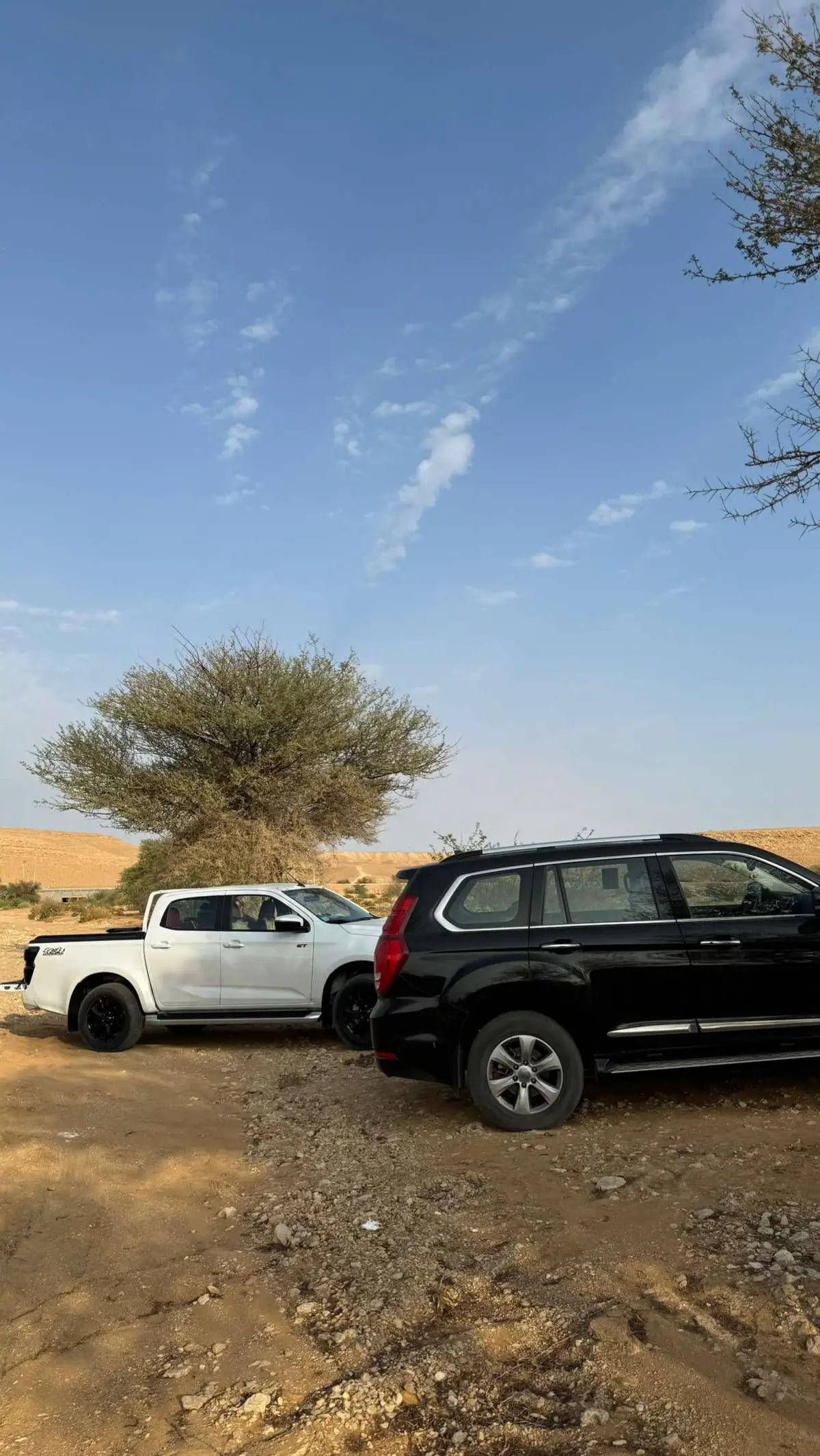 #كشته #غروب #شتا #اكسبلورexplore #fyp #طلعوه_اكسبلورر_فولو #الشعب_الصيني_ماله_حل😂😂 #viral #fypシ #fypシ #ترند_تيك_توك #الرياض_الآن #بر #مخيم #