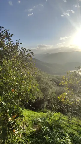 #kabylie_kabylia♓♓♓ #tiziouzouⵣimazighen💛💚 #kabylie #tizi #idurar #kabyle_dz #kabylesdeparis♓️ 