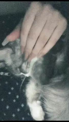 انطـوني😔 #بغداد #زينب #CapCut 