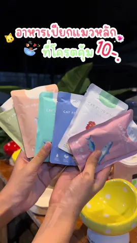 มื้อค่ำเด็กจ้า🐱💖#แมวตลก #แมวอ้วน #อาหารแมว #อาหารเปียกแมว #อาหารแมวอ้วน #แมวอ้วน #เปียกแมว #อาหารแมว 