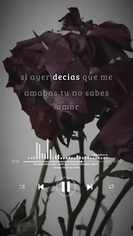 Cesitar Hockey ft Aldama: Llorando por ti #frasespoeticas #frasesmotivadoras #Amor #poesia #filosofiadevida #paratiiiiiiiiiiiiiiiiiiiiiiiiiiiiiii #apoyo #viraltiktok #foryoupage #fypシ #vibras #telodedico #musiclyr #letras #llorandoporti #aldama #cesitarhockey 
