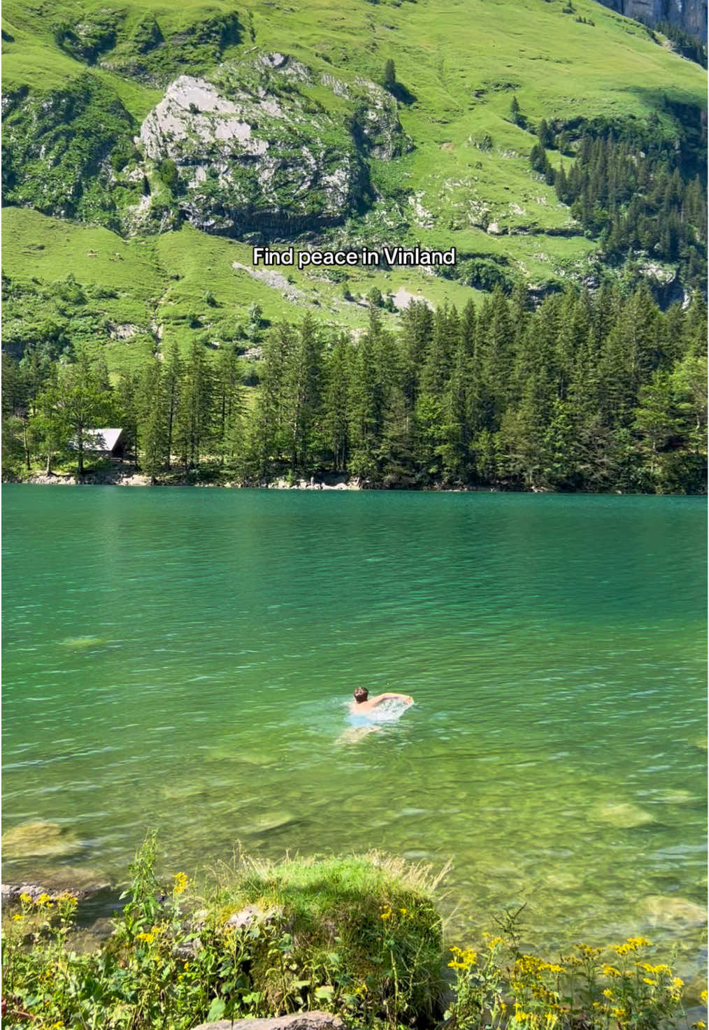 Go Vinland #eluakids #gorpcore #vinland #island #nature #tropical #hike #Hiking #rutas #Outdoors #roadtrip #travel #viajes 