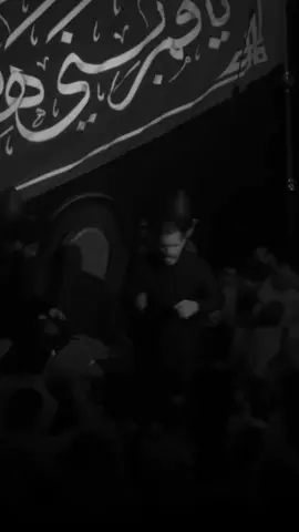 أم البنين   #محمد_باقر_الخاقاني #شور #كربلاء #كربلاء_المقدسة #مشايه_الأربعين #زيارة_الأربعين #حيدر_البياتي #حيدر_الفريجي #سيد_فاقد_الموسوي #tiktokchallenge #explore #خضر_عباس