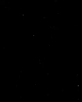 só pra descontrair...🎶😂 |  by: @GOPALA 🧞‍♂️ e @Viggoo  #pernalonga #meme #song  #tipografia #lyricsvideo 