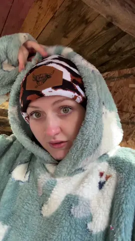 letting the ladies out for a bit #freerangechickens #chickens #crazychickenlady 