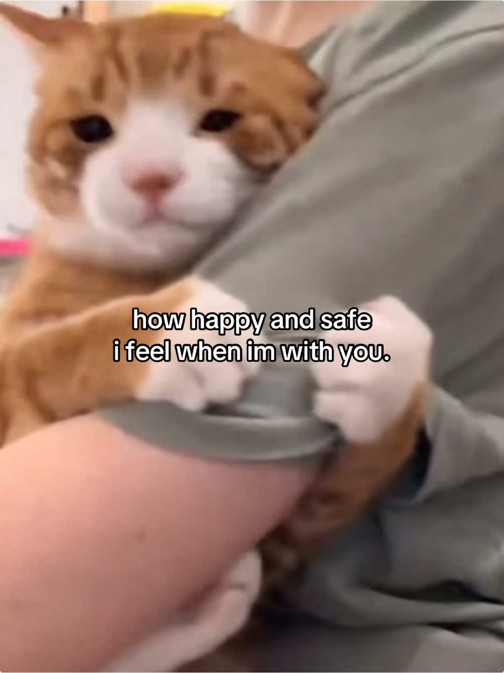 ur my safeplace #fyp #catmeme #catsoftiktok #relatable #Love #Relationship #couple #cattok #bf #gf #fy 