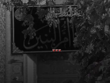 13جمادى الآخر استشهاد مولاتي أم البنين سلام الله عليه ❤️‍🩹💔#باسم_الكربلائي #تصميمي 