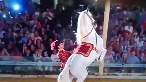 #españa🇪🇸 #pasodoble #caballo #caballosbailadores #paratiiiiiiiiiiiiiiiiiiiiiiiiiiiiiii #parati#agradecimiento #amor 