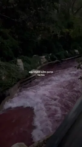 #xcyzba #fypシ゚ #parati #viral #ariela640 