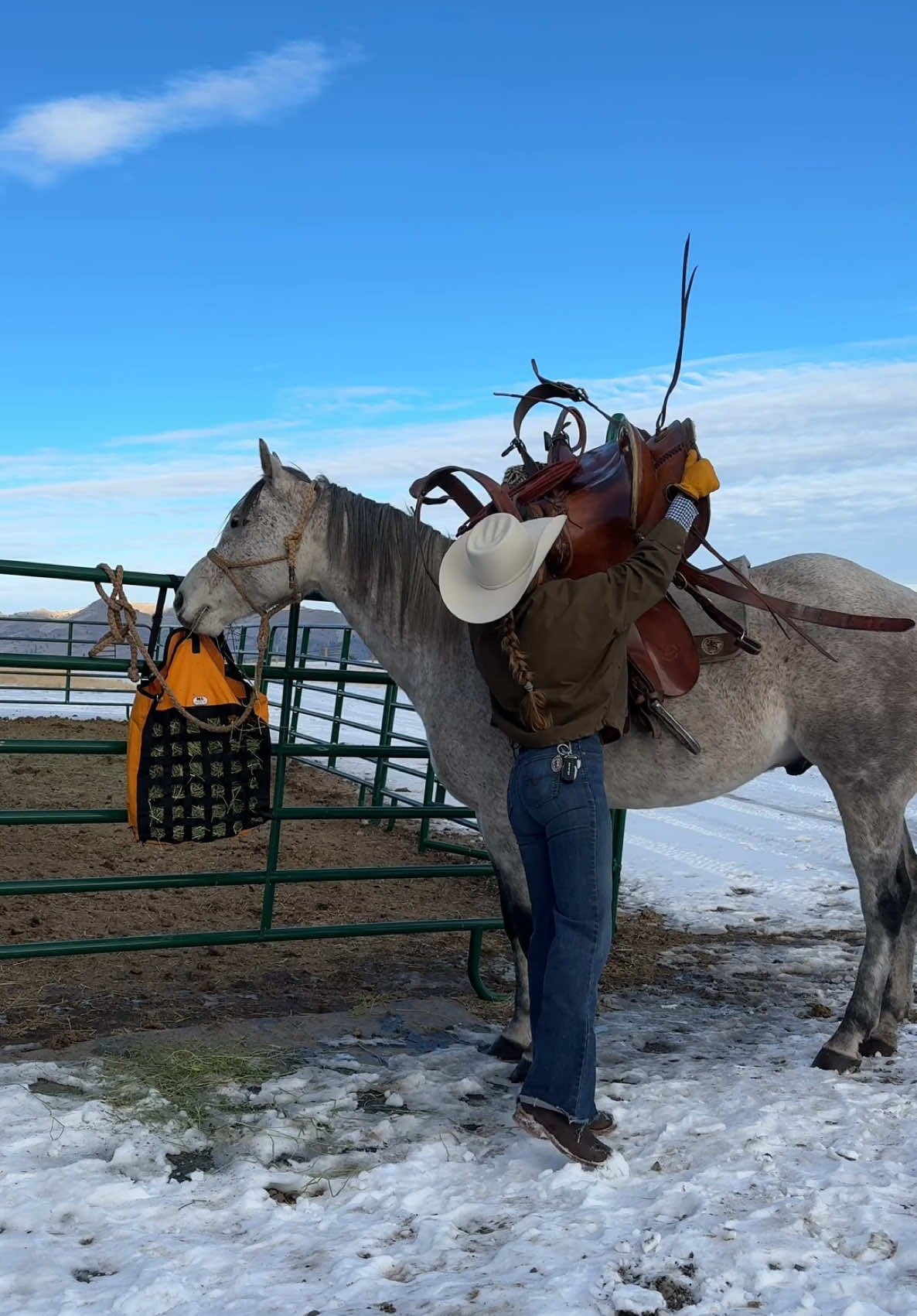 #ad Keeping animals healthy during intense winters takes a lot of thought and planning, so it’s important to save time and money on getting essentials like mineral, supplements, and grooming supplies when I can. @Chewy auto-ship is perfect for that. 