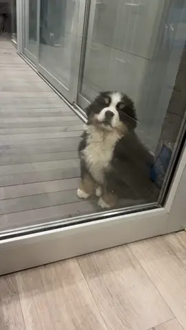 Aca encontre una joyita !!!!🤣🤣🤣 lupita bebe 