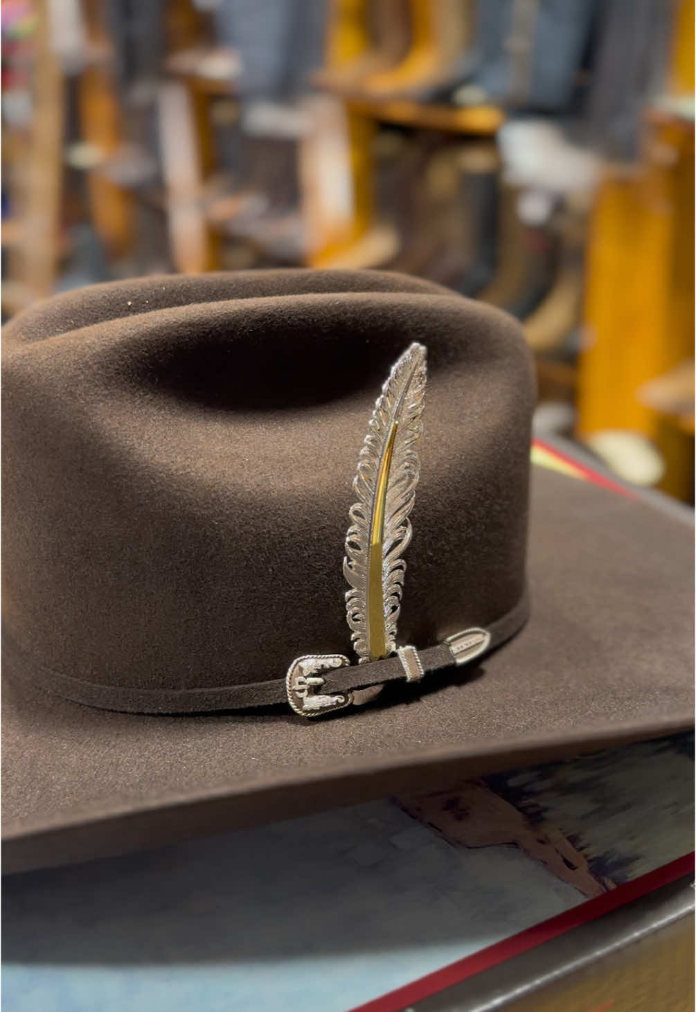 REGALO DE NAVIDAD 🎁 🎄 TIKTOK SHOP PLUMA DE COLOR PLATA 🪶 #thelittleranchny #holidaysale #tiktokshop #STETSON 