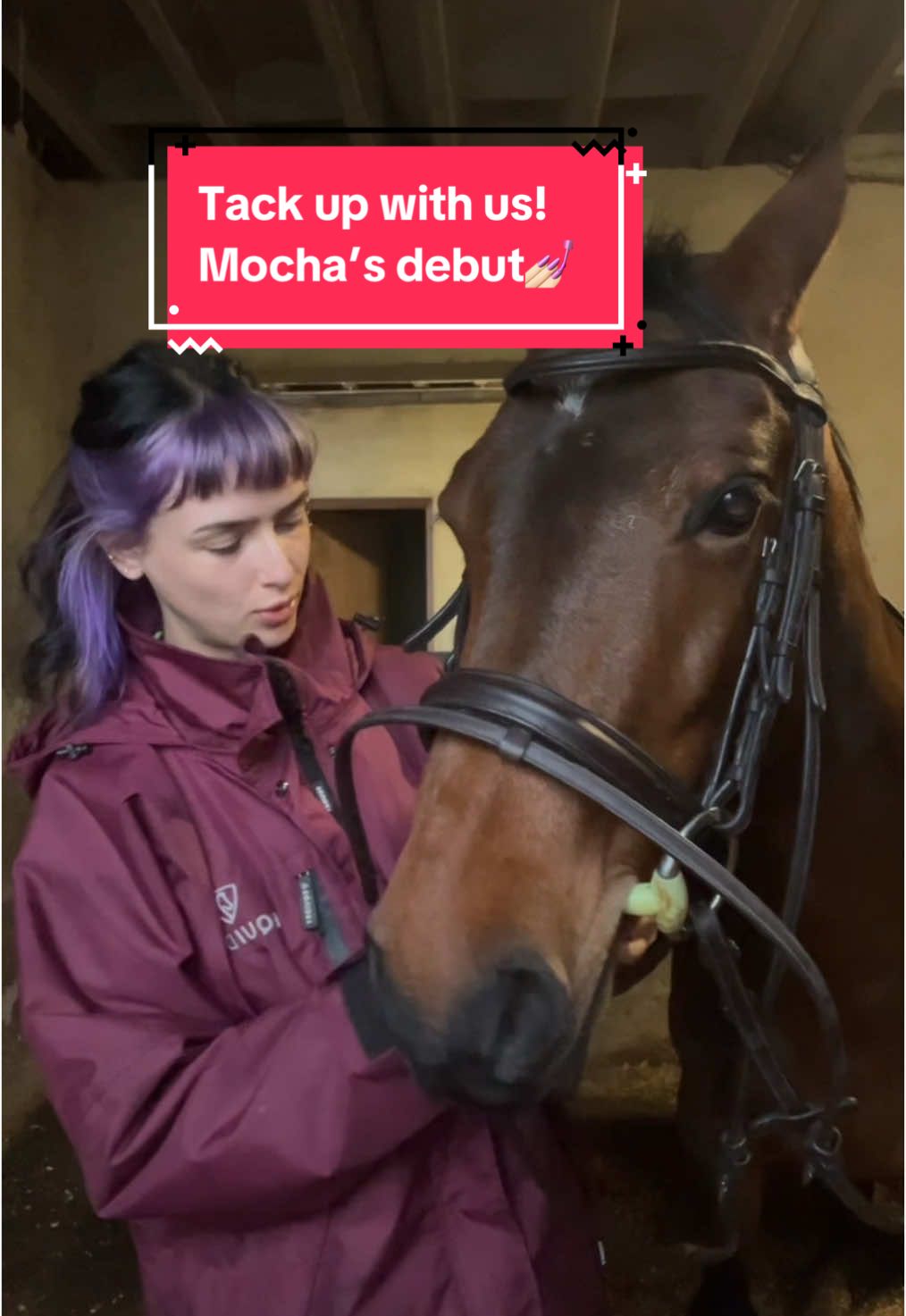 shes like an easily distracted toddler i love her so dearly #tackupwithme #tackup #equestrian #equine #horsegirl #horsetok #horsesoftiktok #horsebackriding #equestrianlife #equestrianvibes #fyp #foryou #abcxyz 