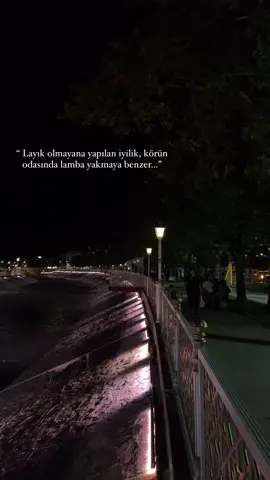 Layıkına yapılmayan iyilik körün odasına lamba yakmaya benzer #özlüsözler #sözler #anlamlısözler #güzelsözler #kalitelisözler 