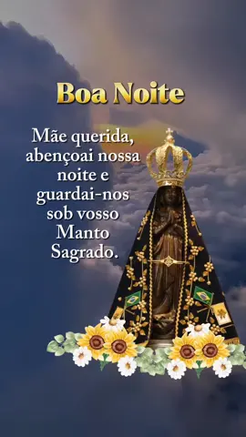 Que NOSSA SENHORA APARECIDA te abençoe nesta noite 🙏 #mensagemdefé #nossasenhoraaparecida  #fé  #boanoite  #catolicos  #deus 