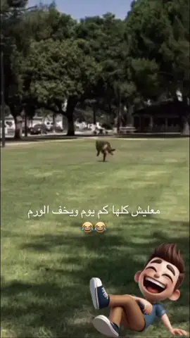 #ضحك #funny #fyp #viralvideo #viralvideotiktok 