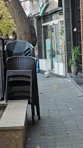 حشمت خان گنده یوسف آباد وحومه 