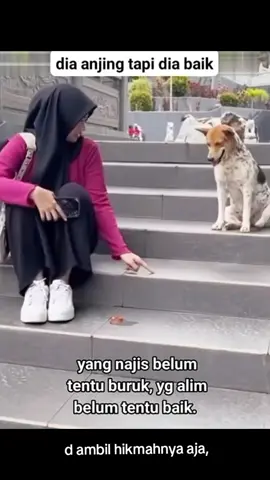 ketika anjing ingin bersahabat dengan manusia,tp anjing tau kalo kodratnya beda..#cewekcantik #Komangrozaq #bakulcriping #VideoNgakak #SiapaSangka #sekedarhiburan🙏🙏🙏 