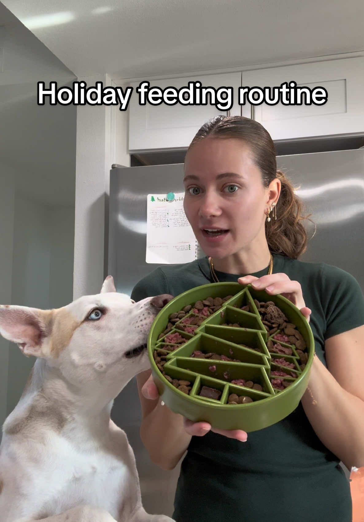 The slow feeder bowl is in my Amazon storefront, the raw is @Vital Essentials kibble by @Natural Balance omega oil is @WagWell hip and joint supplement is by @Wuffes treats are @realdogbox #dogfeeding #dog #pets #puppy #rawdogfood #puppy #doglover #holiday #christmas @SodaPup  