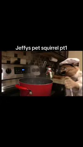 #jeffysfunnyvids #SML #smlclips #jeffy #trending #smlmovie #teamwork #smlbestmoments #sml_team🌹 #bowser #mario #cody #zyxcba #funnyvideo #fyp #madeforme #jeffysml #pet #squirrel 