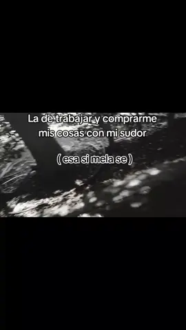 esa si mela see ...                              #🗣️ #🫡#😮‍💨 