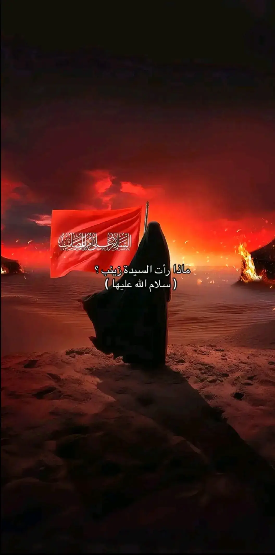 #غريبة_الشام_مولاتي_زينب #السيدة_زينب #اخ 💔