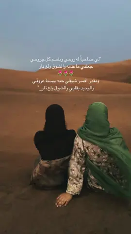 #شيلات #الرفيق #الصاحب #منشن 