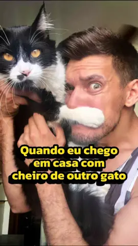 Nada passo despercebido por meu gato..😼🐾😬 . . . . #memesbrasil #cat #gato #gatinho  #frajolito #pets #gatosendogato #comedia #humor #humorfelino #petinfluencer #catbrasil #reels #adote #semracadefinida #maedepet #pet #amor #rir 