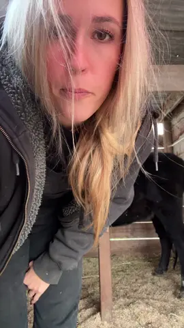 We are all just simple girls! #cow #funnyfarm #grasspuppy #fyp 