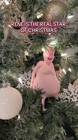 THE ONLY GIFT I WANT THIS CHRISTMAS #bestchristmaspresentever #funnychristmasgift #christmasgiftideas 