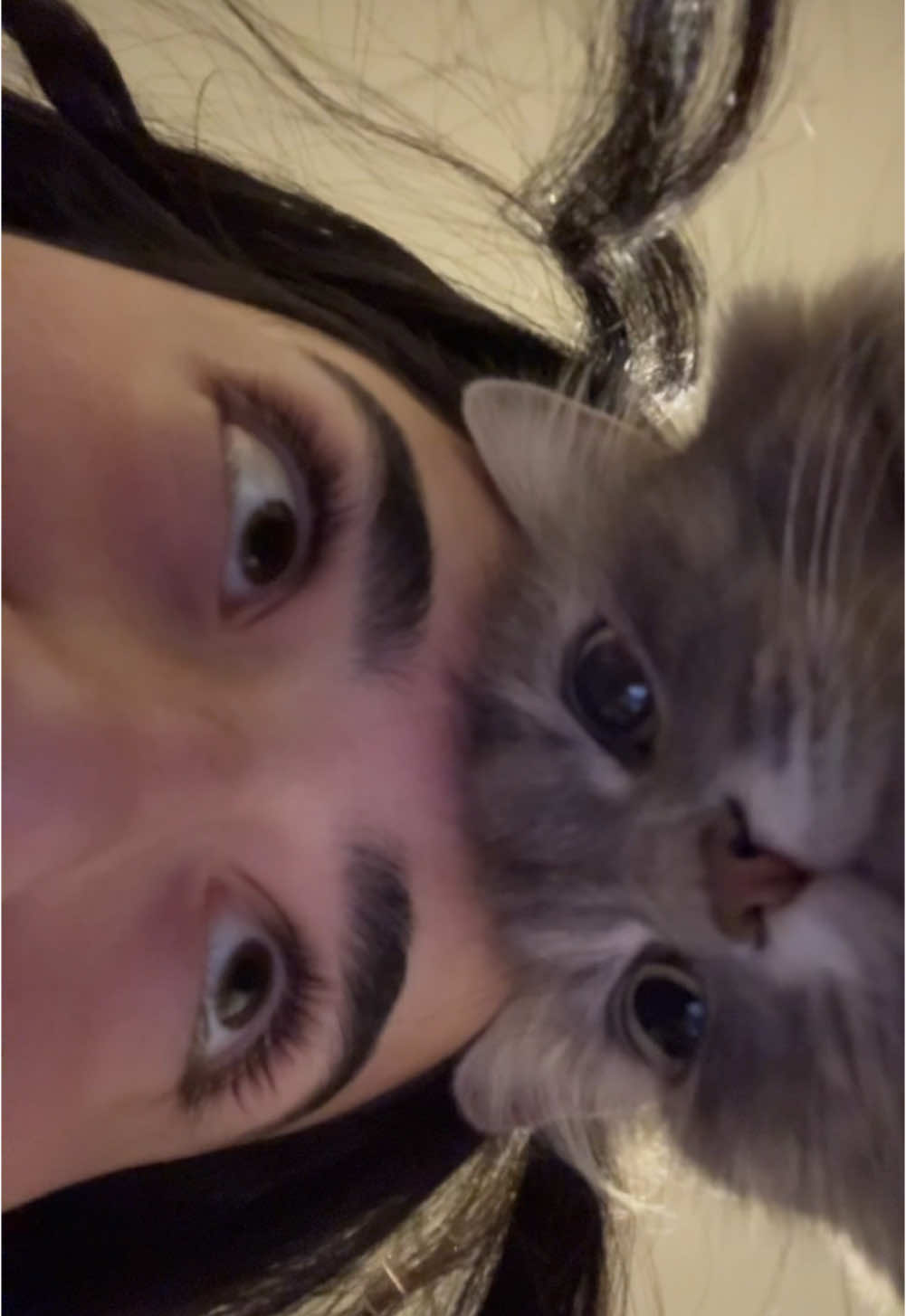 she’s always smelling my head 😭 #catsoftiktok #cattok #catlover #cats #shejustababy 