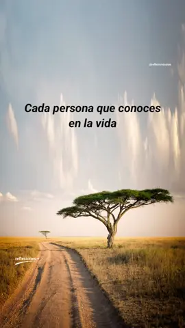 ¿quien es tu persona especial ? #reflexiones #reflexionesplus #personas #frasesdelavida #motivacion #verdades #chile #pensamientosyreflexiones #explore #inspira #natura #comparte 