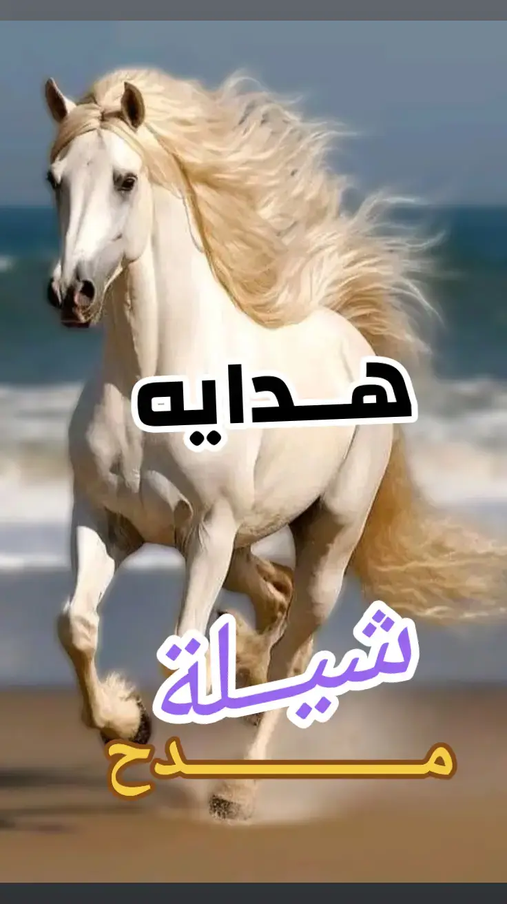 اقوى شيلة مدح باسم هدايه#بشارة_مولود #بشارة_مولودة #بشارات_مواليد #بشارة_مولود #اكسبلور_تيك_توك#اكسبلووووورررر #شيلات_حماسيه #شيلات_زواج #شيلا_تخرج #شيلات_تخرج_ضابط #شيلة_عروس #شيلات_عرسان #شيلات_ام_العريس #شيلات_عرضة_جنوبيه #اكسبلورexplore #اكسبلور  واتساب :  https://wa.me/00966533732997 #استديو_أجمل_فرح_للطلب_الاعمال_واتساب_0533732997_  #اجمل_الشيلات #شيلات_روعه🌷🌷 #شيلات_طرب #بنات #شباب #سنابي #سناب #صور_شباب #طرب #اغاني #رقص #شيلات_يمنيه #ابو_حنظله #فهد_بن_فصلا #بندر_بن_عوير #عبدالعزيز_النصافي #شوق #حب #عشق #وله #سناب_شات# تويتر  #تصميمي #شيلات #شيلات_صوتيه #شيلات #قوتشي #شيلات_روعه #شيله #البحرين #بنات #بنات #صور #الامارات #ماشاءالله #الرياض #الكويت #نشر #بحرين #سناب #شعر #قصيد #قصيده  #شيلات_حزن #شيلات_فراق #فهد_بن_فصلا  #حب #حبايب #حزن #عراقي #اغاني_عراقيه  #عراقي_حصري #حزن_عراقي  #صور_بنات #صور_براقع #صور_حلوه #تصاميم  #المصمم #سناب_شات  #منشد #اناشيد #غزليه #طربيه #استكنان #شيلات  #شيلات_ترحيبيه_حماسيه#شيله_ترحيب#شيلة_أجمل_فرح شيلات حماسيه بدون حقوق شيلة - ترحيب -شيلات ترحيب - #استديوأجمل_فرح_اف_ام#زفات_أجمل_فرح#شيلات_مولود#شيلات_ترحيب#شيلات_حماسيه#شيلات_ترحيبيه_حماسيه#شيله_ترحيب#شيلات_زواجات#شيلة_عريس#شيله_عريس_شيلات_استقبال#شيلات_بدون_اسم#شيلات_مدح#شيلات_ام_العريس#شيلة_ام_العريس #شيلة_ام_العروس#شيلات_ام_العروس#شيلات_عروس#شيلة_عروس#الشعب_الصيني_ماله_حل😂😂 