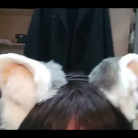 Giờ mới biết cái tai nó cử động theo chuyển động của tôi 