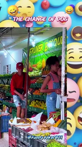 The change of dog 🐕‍🦺🤣 #funny #funnyvideo #funnyvideos #prankvideos #pranks #funnypranks #funnyprank #fyp