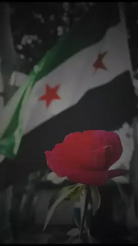 #العتيق #زينو_سورينا💚🤍