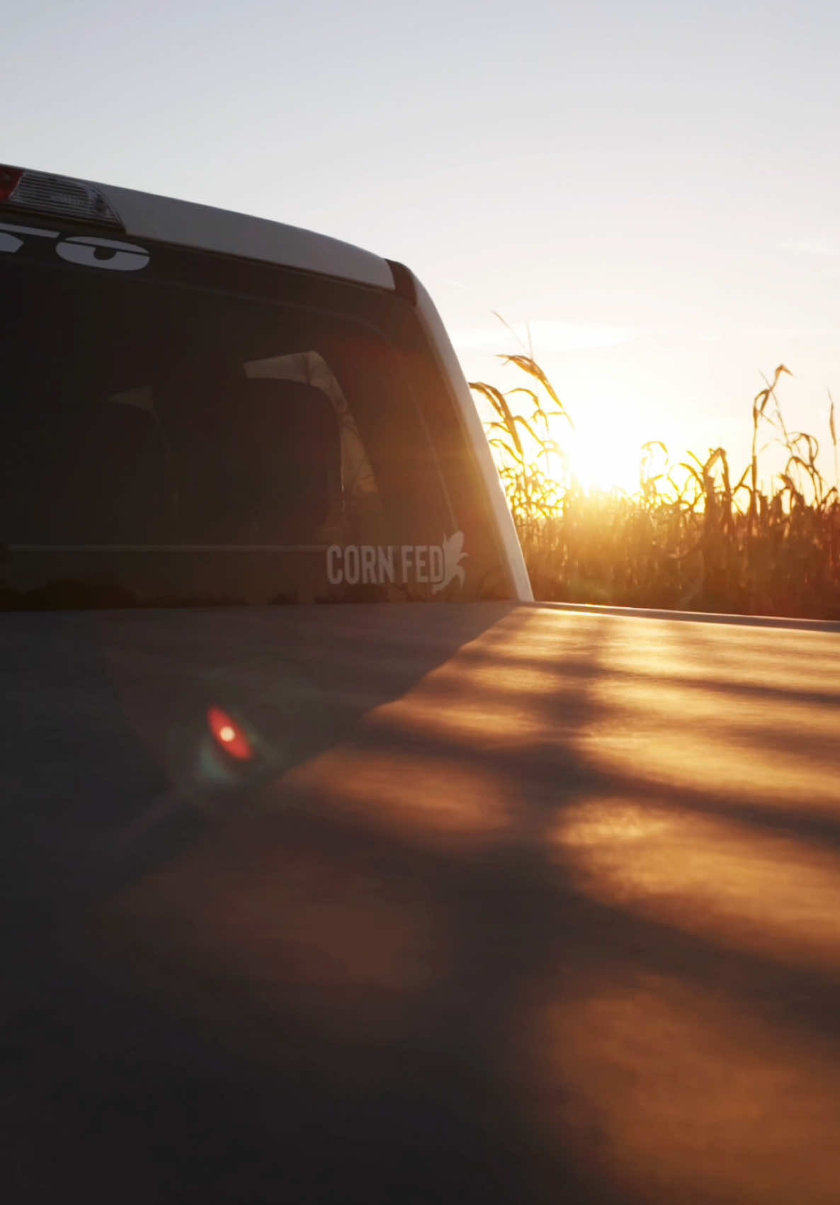 We will be adding customizable state decals once we hit 20k followers! #truckstickers #relatable #countrydecals 