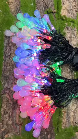 mười mét led giọt nước #xuhuong 