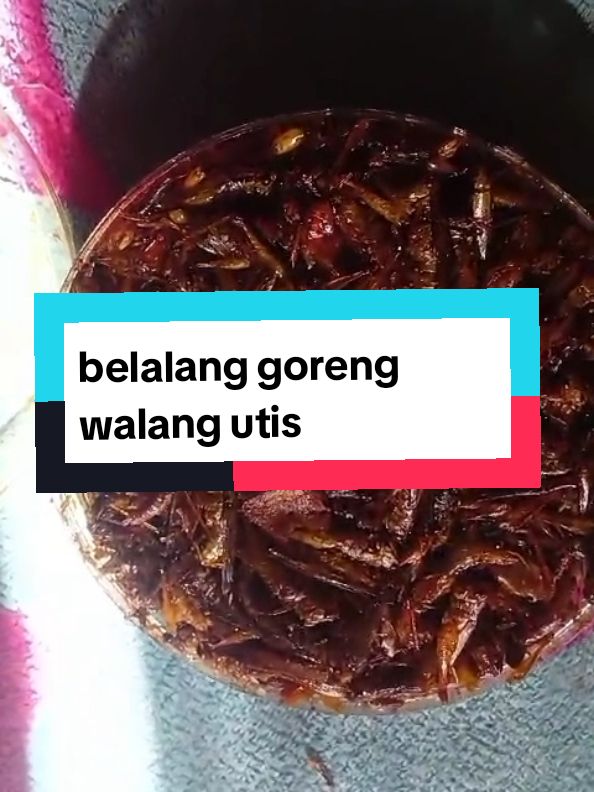 belalang goreng walang utis,nikmat di makan pake nasi anget,ini aman di konsumsi ya gaes#belalanggoreng #walangutis #jajanantiktok #1212 