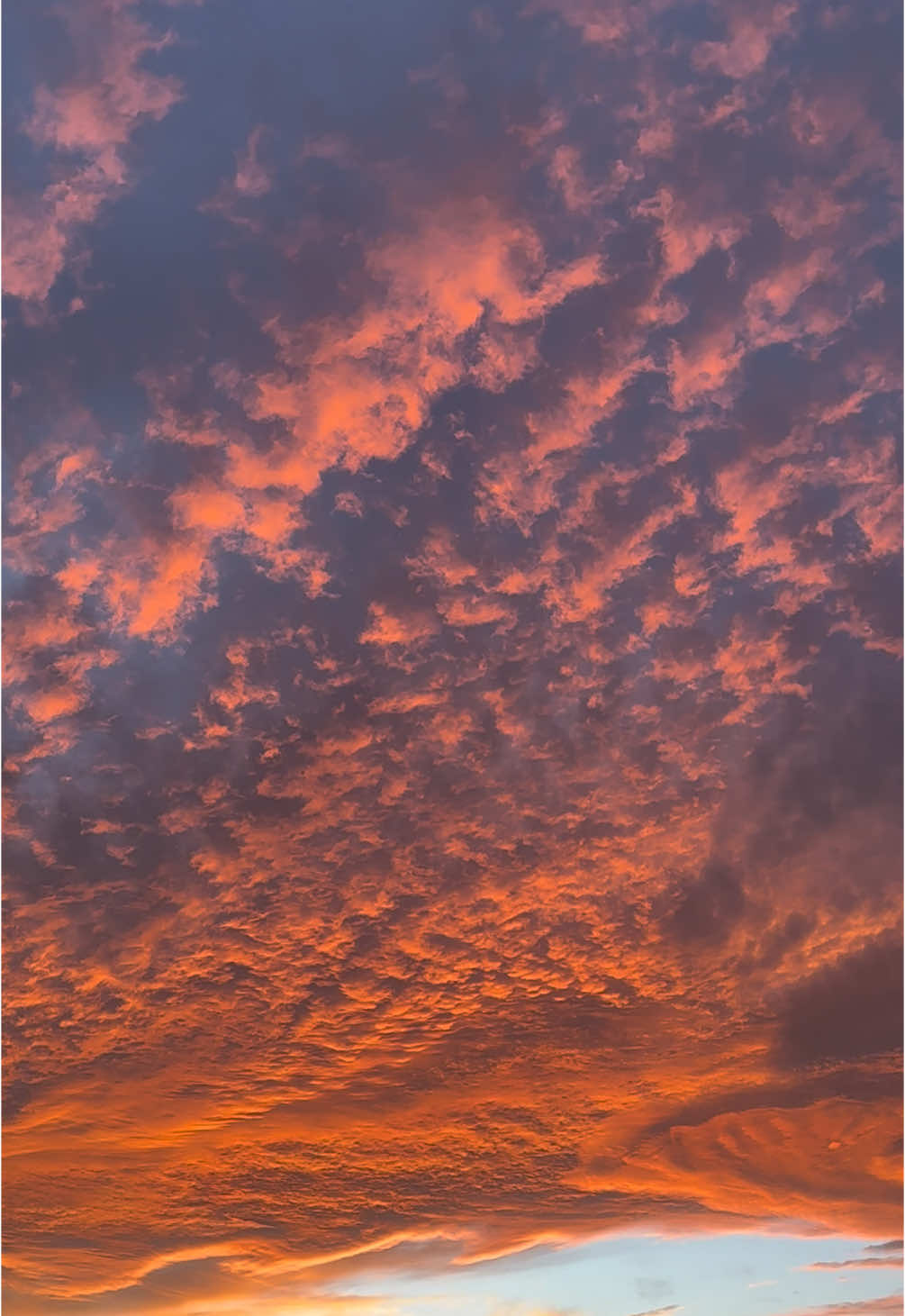 un bello atardecer. 🤍 #atardecer #atardeceresperfectos #atardeceres #fyp #cdmx #nubes #cielo #cielosbonitos #mexico #2024 #fypviral #harrystyles #singofthetimes 