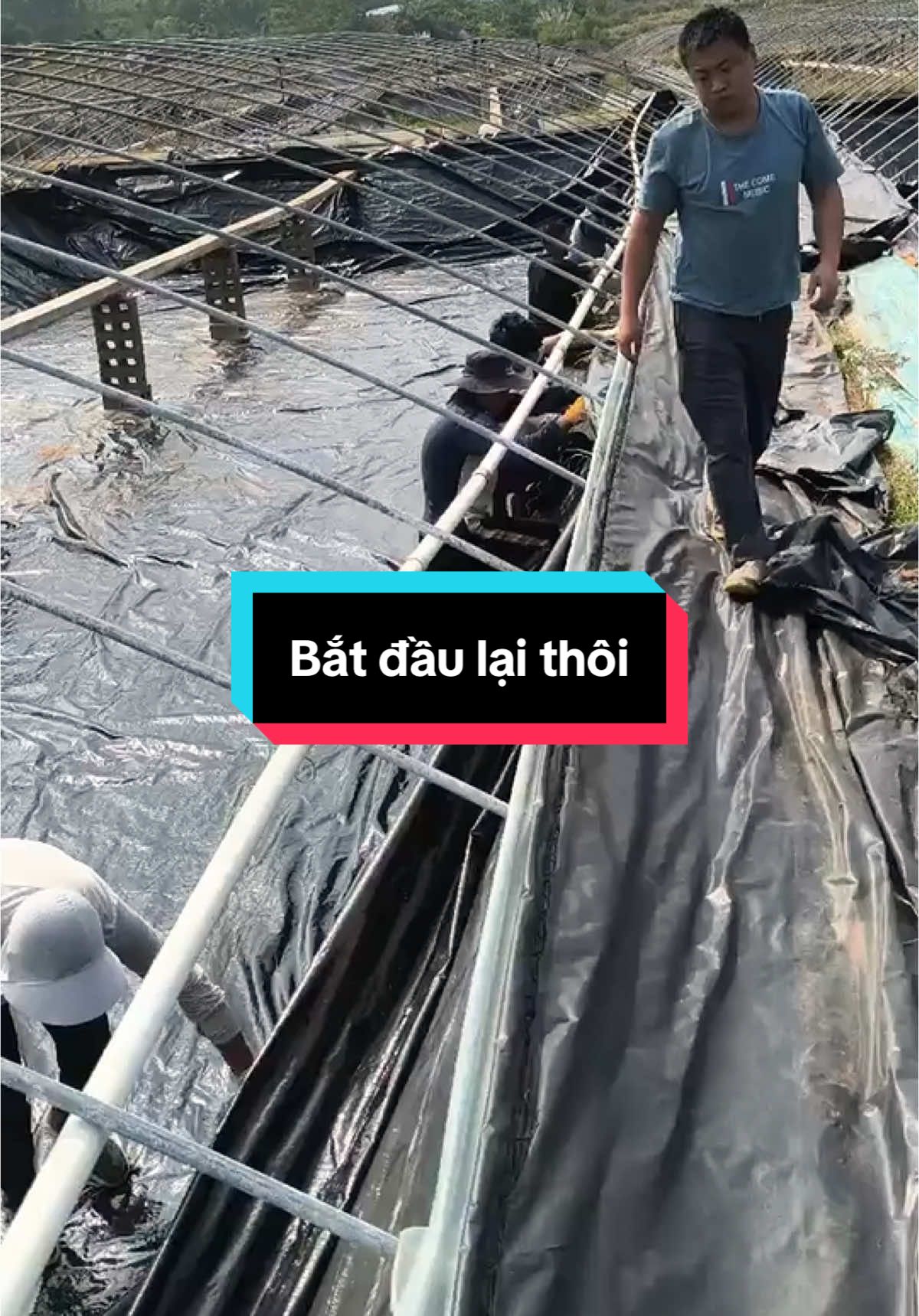 Vụ đông xuân, mn đã bắt đầu lại chưa? #xuhuong #menvisinh #visinhnguyenlieu #nuôitôm 