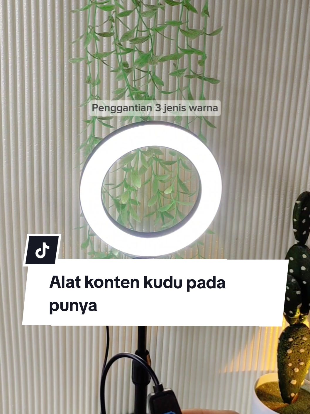 Alat ngonten ring light mini 16cm+Tripod+2Holder hp ring light tripod mini standb hp live stream selfie make up vlog #lighting #pencahayaan #alatngonten #tnw #tnwringlight16cm #miniringlight #tripodmini #ringlightmurah #alatkonten #standhp 